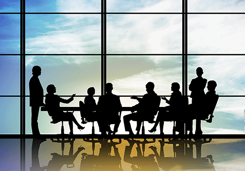 ERISA 3(21) & 3(38) Investment Advisors/Managers